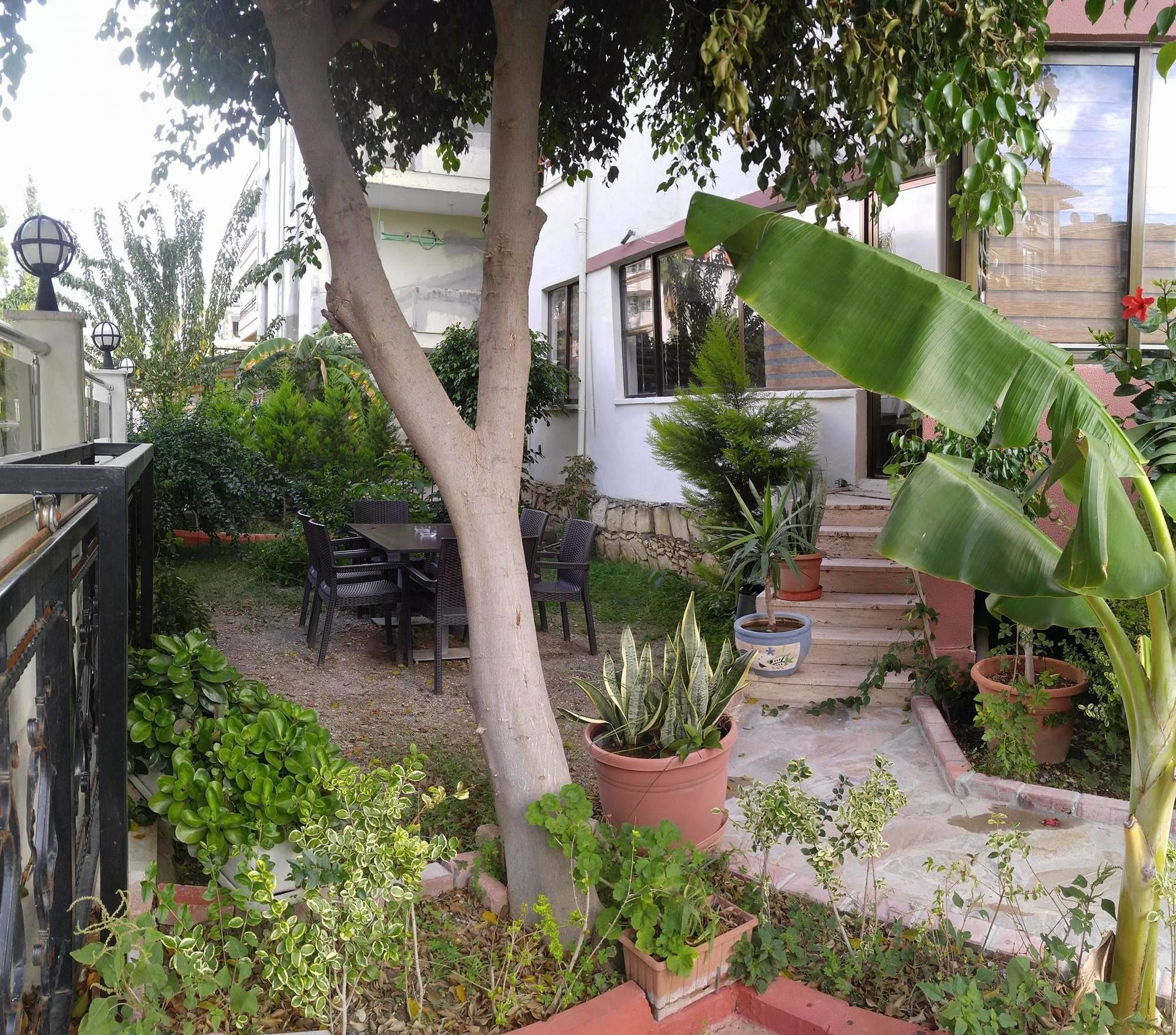 Asem Hotel Alanya Dış mekan fotoğraf